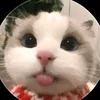 anhnhoem2233