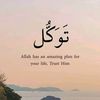 faraz.mughal247