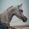 .alanod05
