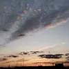 ojui_