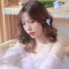 Tâm Sắc Tấm