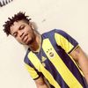 nelson_cruz_noni