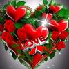 user4213869758170