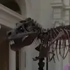 jurassicrkh