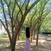khaing.zar.linn94