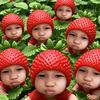 preawww_2013