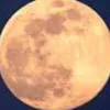 moon8022