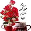 user4781929150925