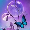 user7304736186077