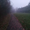 kiberpach