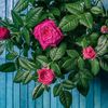 user1905222227749