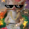 pochito_pro1