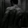 .tim331