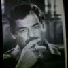 al.haily.moss