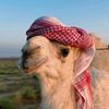 abufahad952