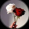 niaz.muhammad271