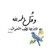 user21861813265250