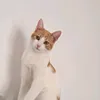 userxyzaqw