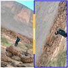 sidimouhamed013