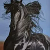hichamharir1