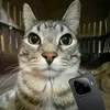 maksyy7213