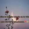 cuy.glenda
