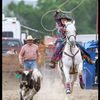 rodeobug