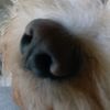 jaime_290612