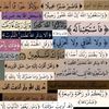 raheeg_hamd