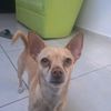 perri.fc