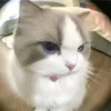 martha_82