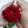 user26191401876167