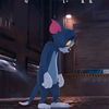 user8561850590276