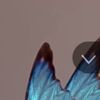 user4146815103190