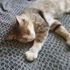 help_me230217