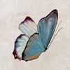 zeynepp_l6