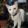 bjsf_story