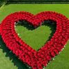 sulayman.ahmed73
