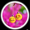 abcd87117