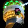 zhra.syed