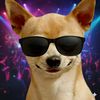 jone2077