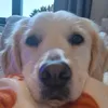 luckyenlena