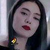 biba.bld2