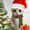 meow32964