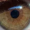 literallylaufeycoded