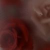 _zyrelith28