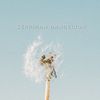 serpihandandelion