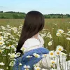 lolo__r15
