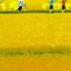 cmchng06