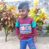 user3341559752253